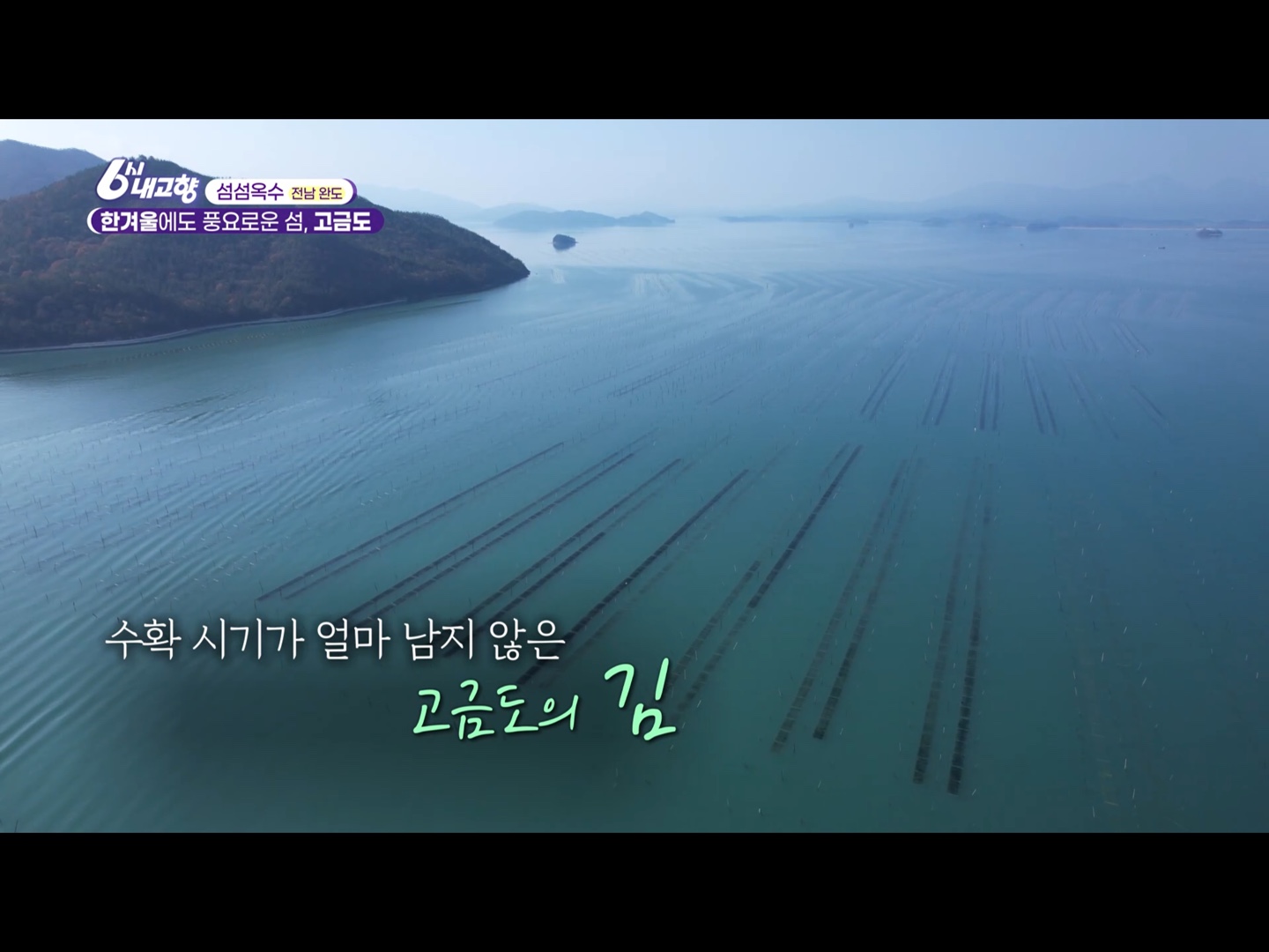 2024년 12월 5일 6시 내고향 전남 완도 유자, 김 양식, 굴 요리는 어디?