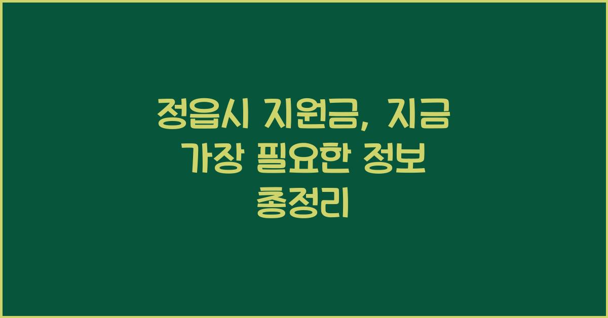 정읍시 지원금