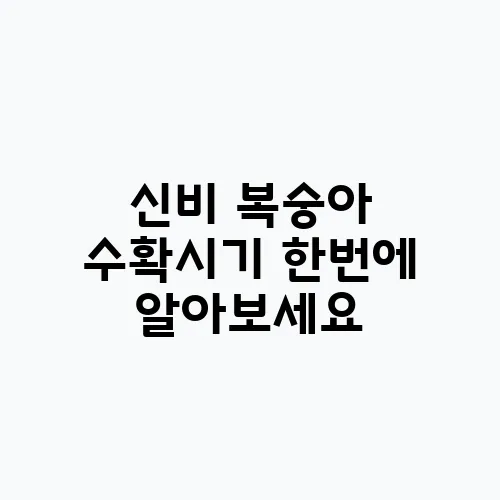 신비 복숭아 수확시기 한번에 알아보세요