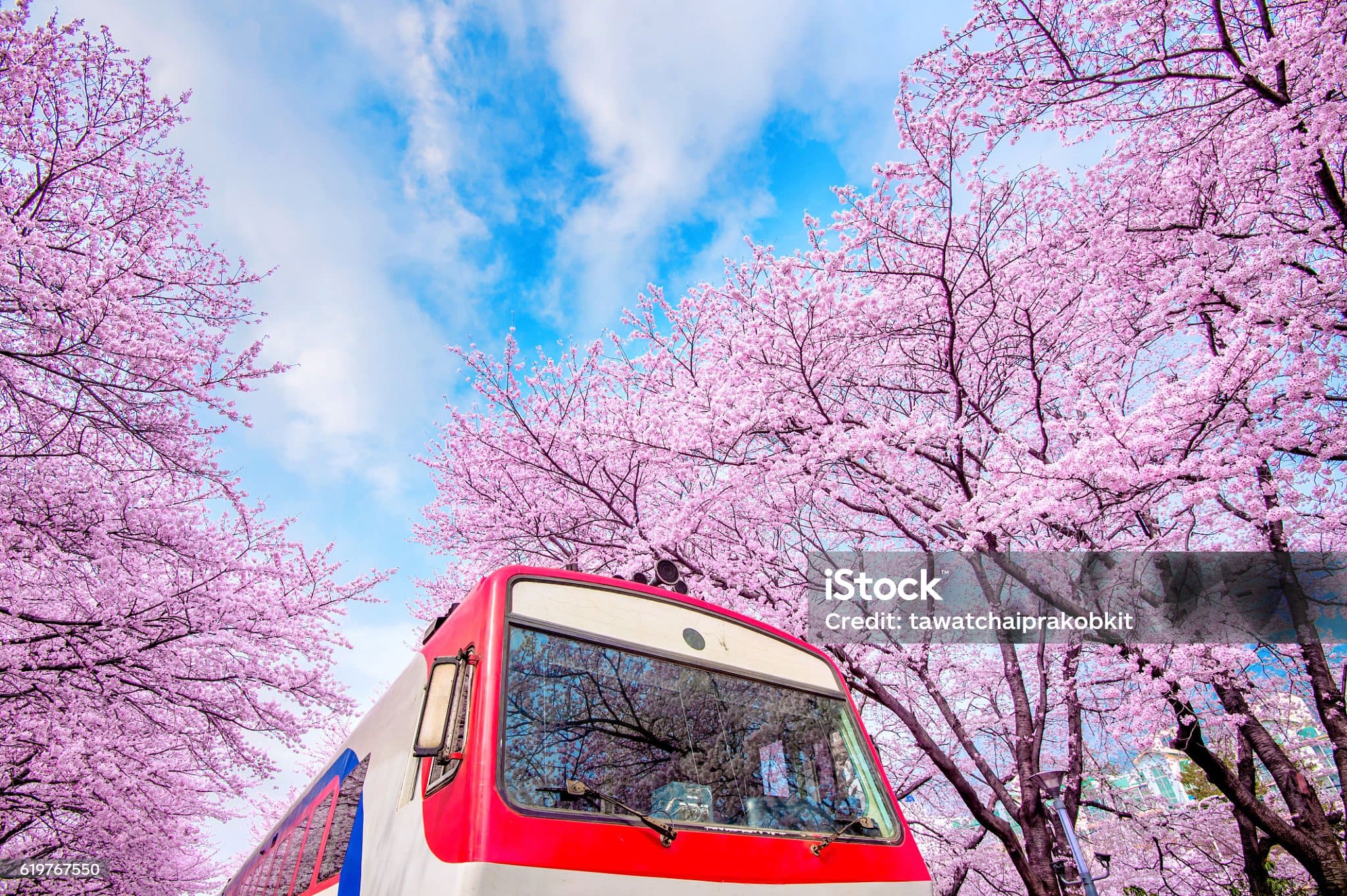 경주 보문단지 CCTV