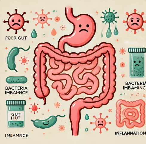 장 건강과 면역력의 관계