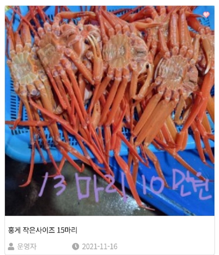 한국기행-주문진-홍게-