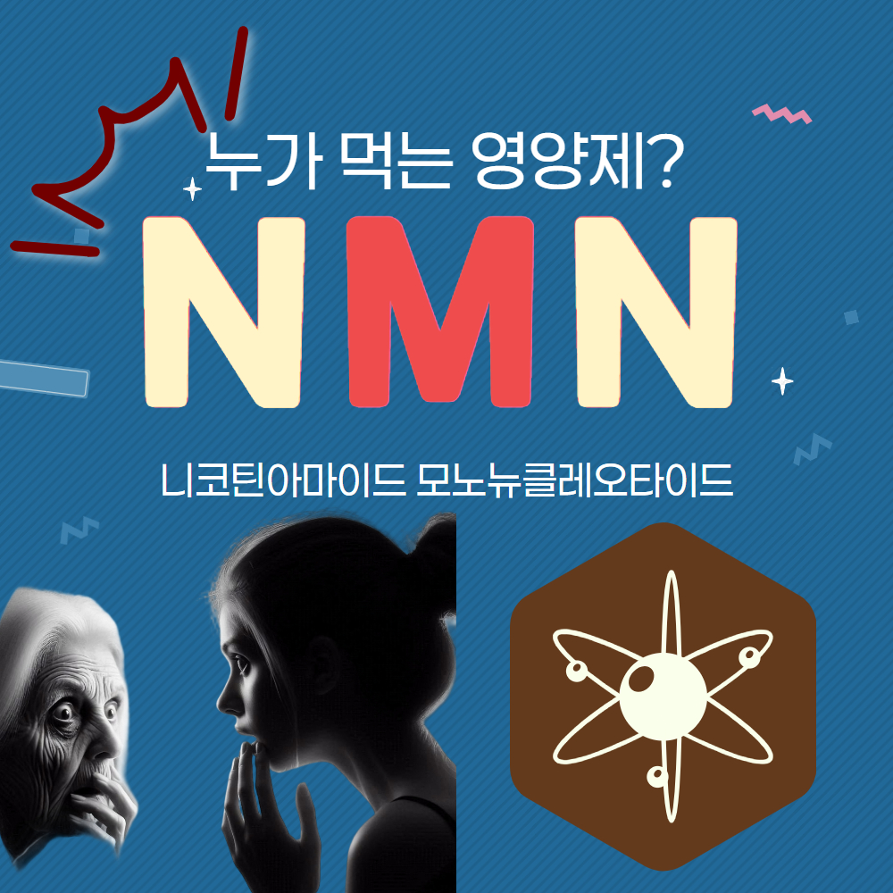 NMN이란?