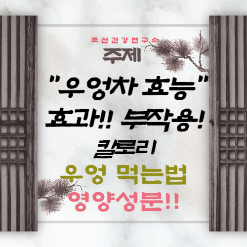 우엉차 효능 말린 볶은 우엉차 영양성분 부작용 칼로리