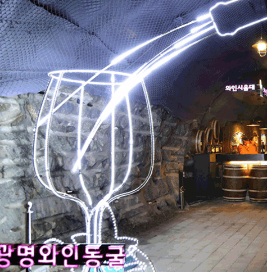 광명동굴 입장료
