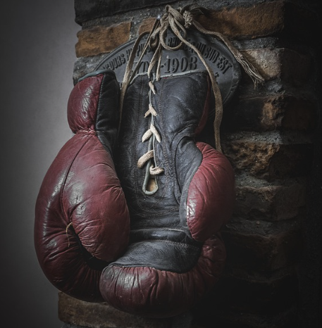 중년층 감성 복싱 영화 관련한 사진