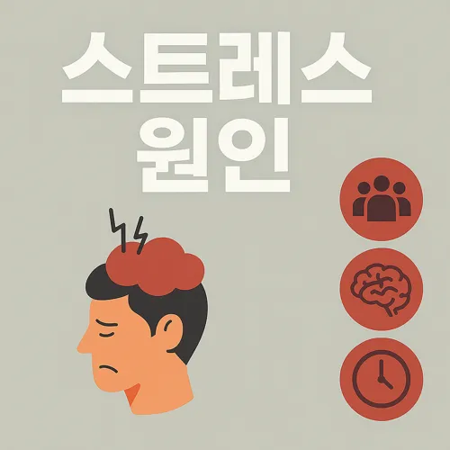 스트레스 원인과 건강 영향