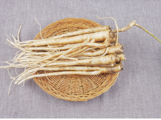 기관지에좋은 음식