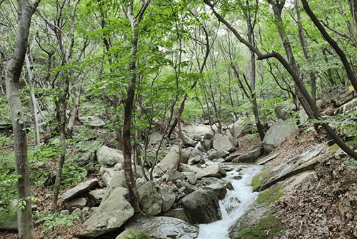 동학사09