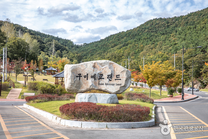 구미 가볼만한곳: 구미에코랜드