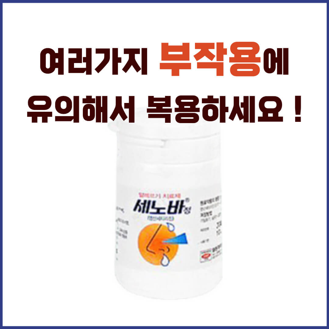 세노바정 부작용