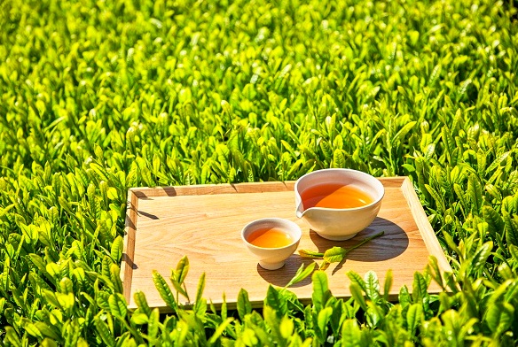 전립선에 좋은 차