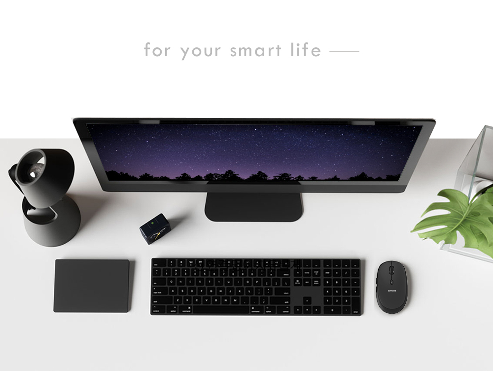 Royche RX-700 무소음 무선 마우스