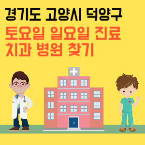 경기도 고양시 덕양구 일요일 치과 진료 병원 리스트