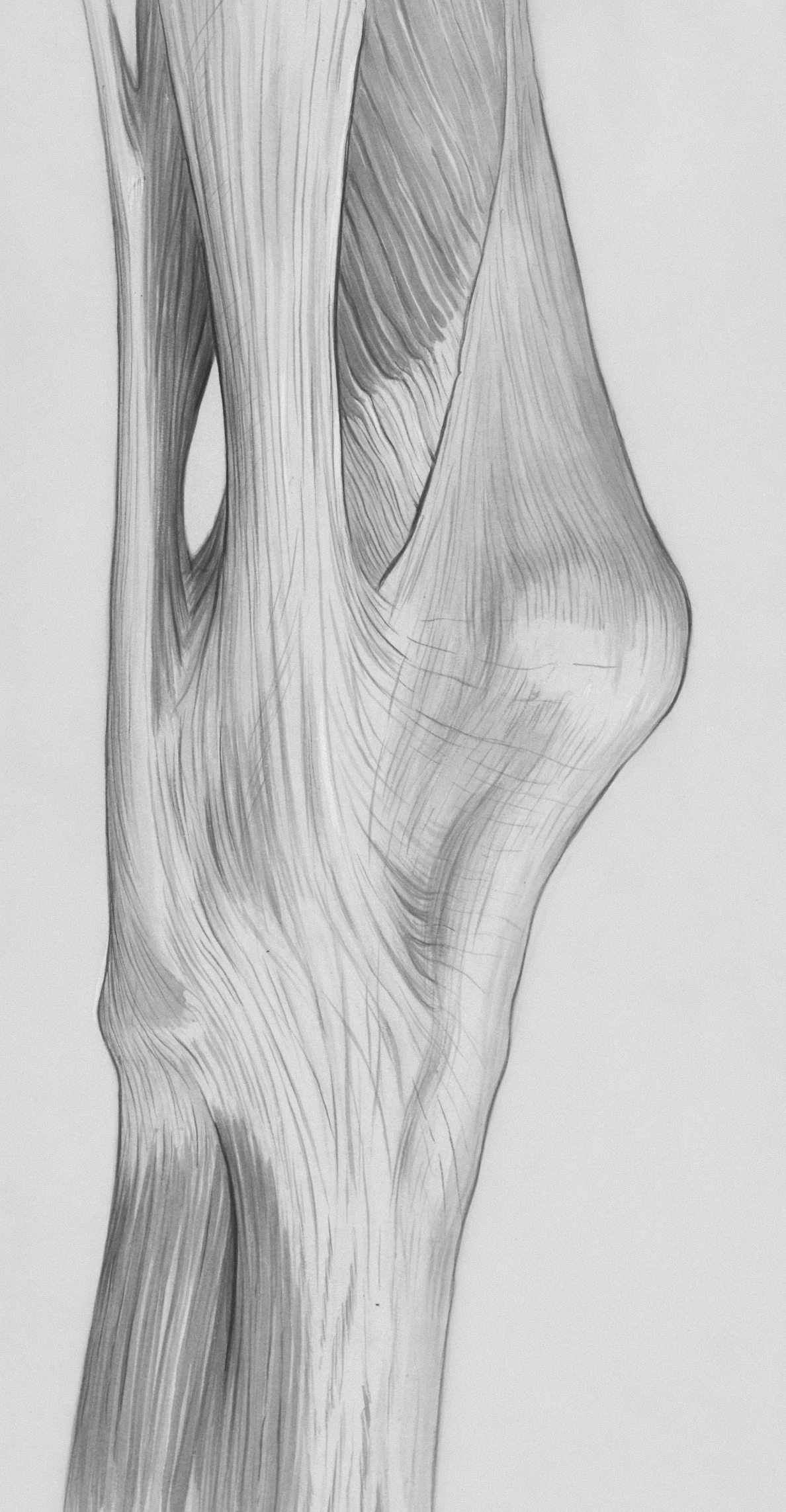 무릎관절에 좋은 운동