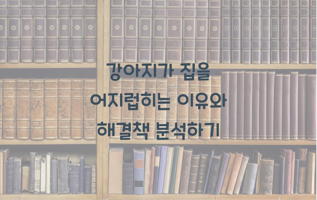 강아지가 집을 어지럽히는 이유, 행동 심리와 해결책 분석