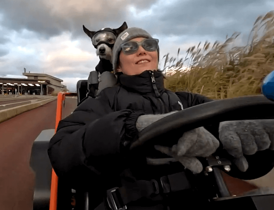 반려견 동반여행