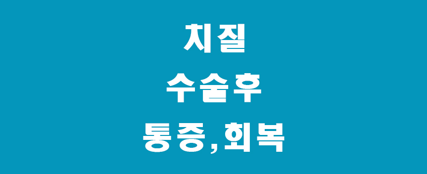 치질-썸네일