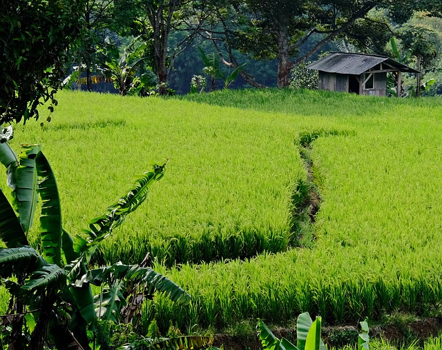 2023년도 기본형 공익직접지불금 신청 대상 지급 단가 신청 방법 기간3
