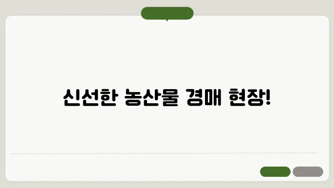 가락동농산물경매가격 홈페이지 바로가기 https://www.garak.co.kr