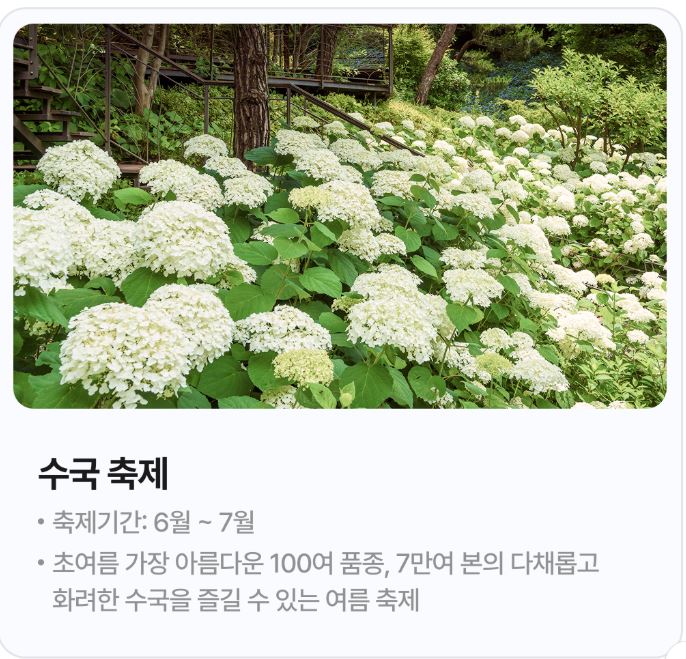수국 축제 안내