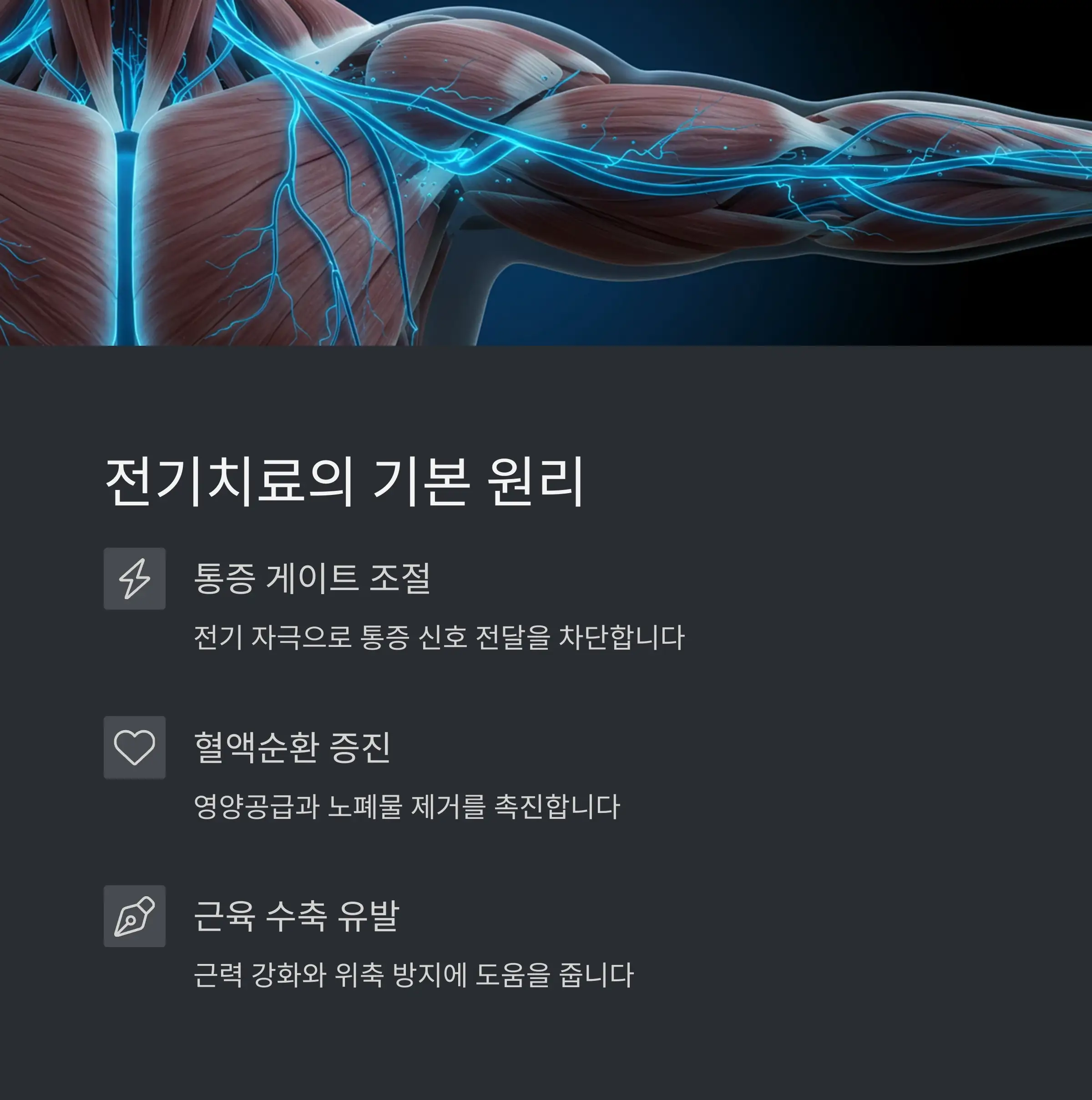⚡ 전기치료의 기본 원리