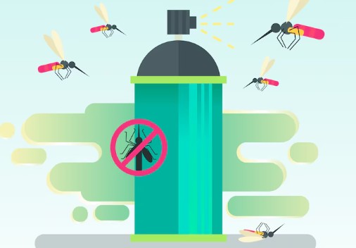 러브-버그-수명-원산지-퇴치법-5