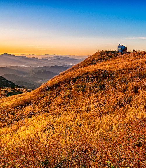 황매산 억새축제 2025, 합천 하늘정원에서 즐기는 가을축제