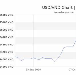 💹 USD/VND 환율 추이와 2025년 전망