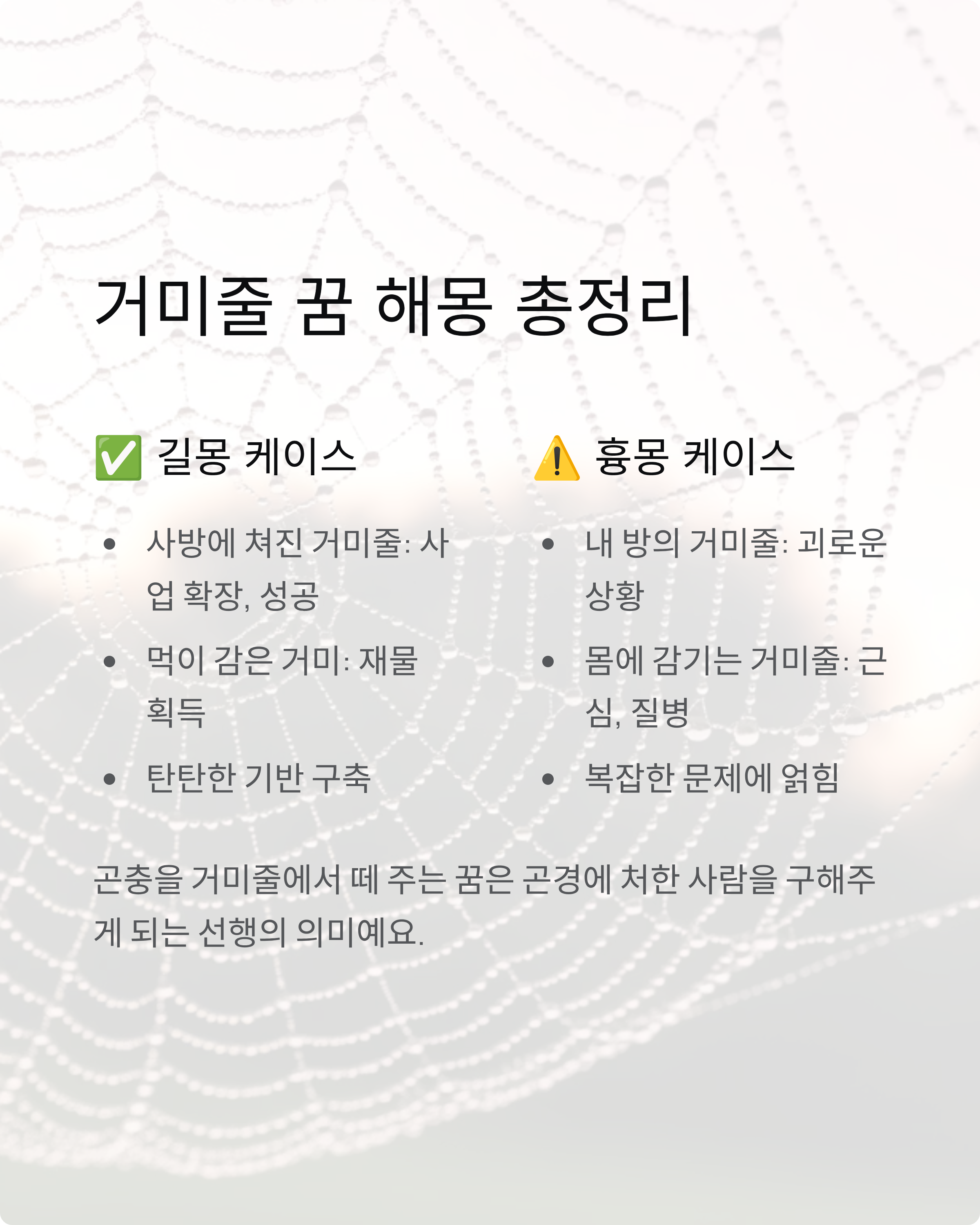 거미꿈 해몽 완벽 가이드