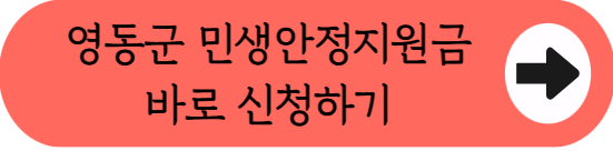 "영동군 살면 30만원 또 준다고? - 2026 충북 영동군 민생안정지원금 신청방법 총정리 (대상, 기간, 이의신청 등)