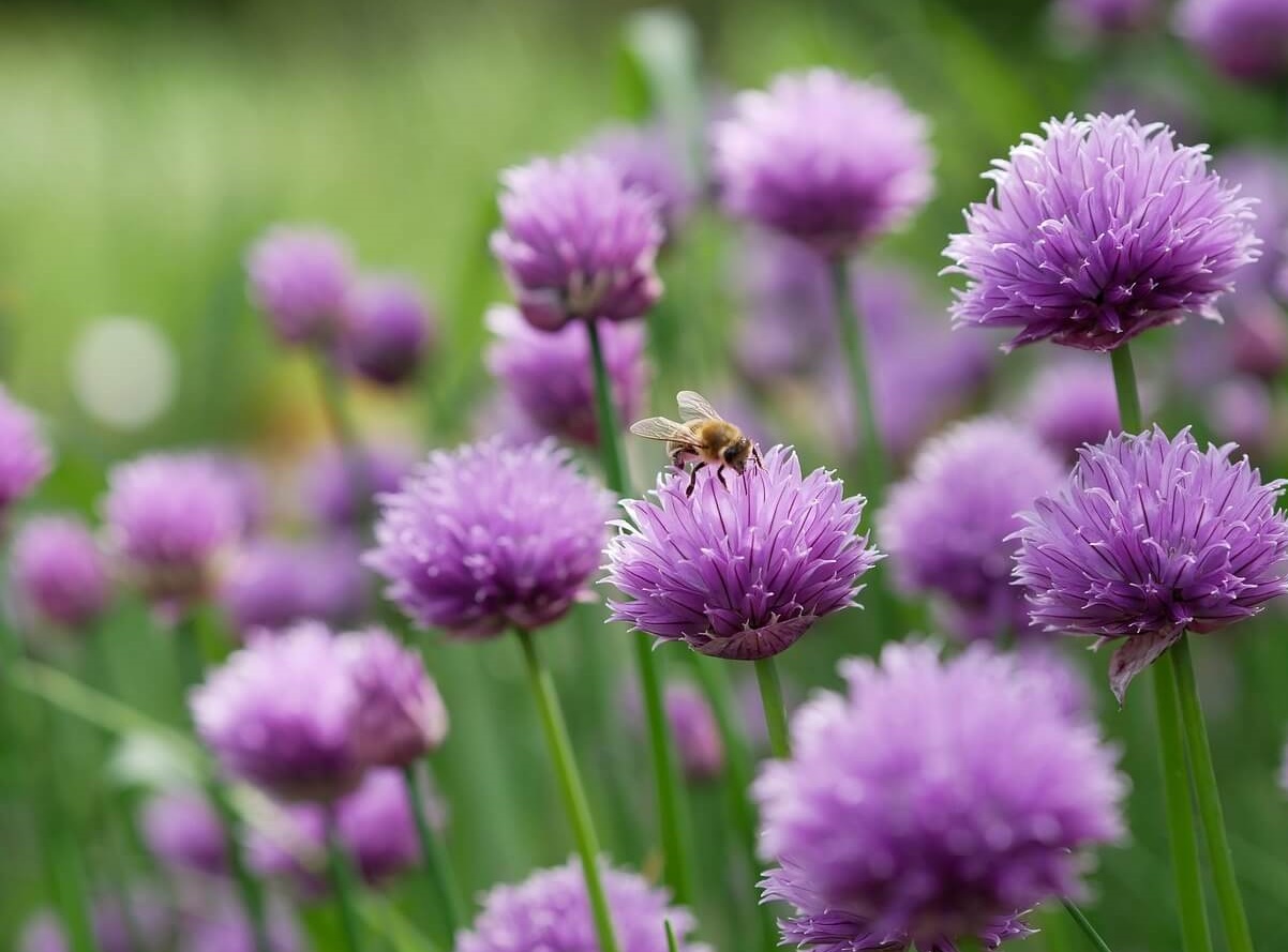 “야식 끊었는데 공복혈당"이 안 내려갈 때 반드시 점검해야 할 3가지 이유
