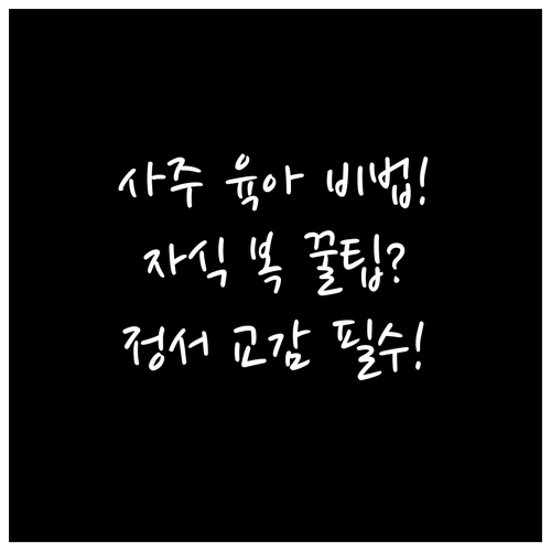 사주로 보는 자녀와의 정서적 교감 자..