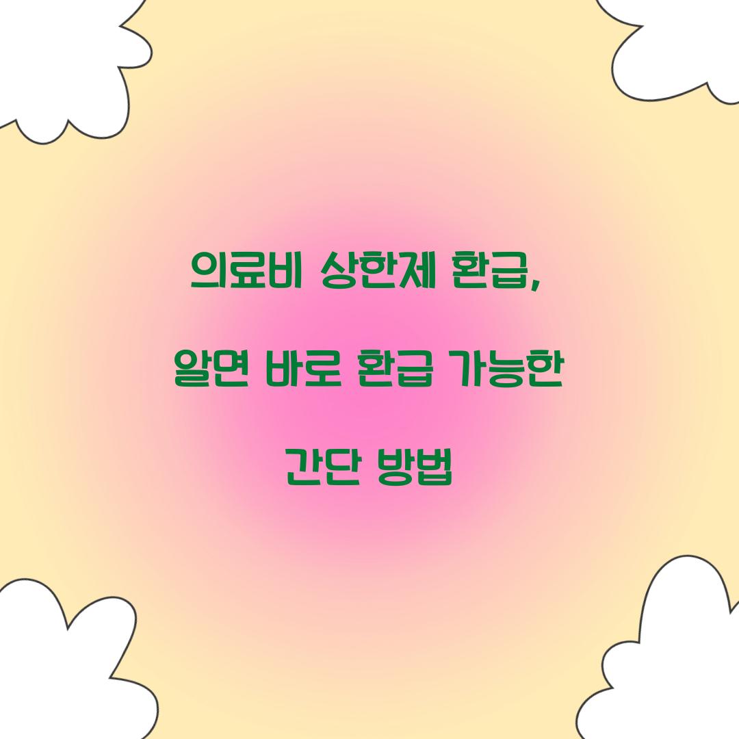 의료비 상한제 환급