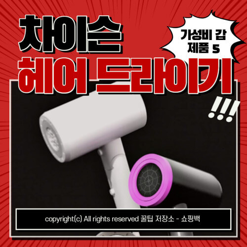 차이슨 드라이기 추천 제품 5