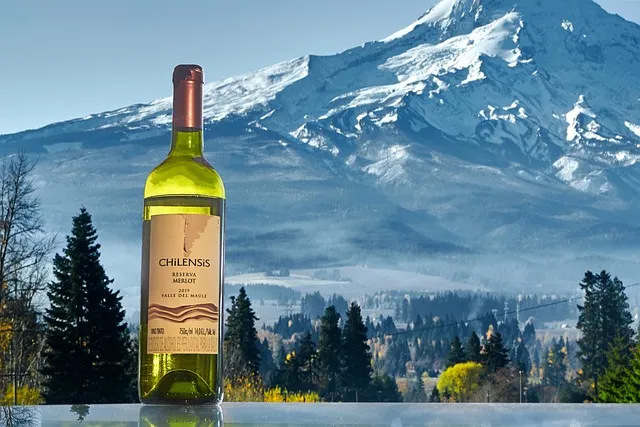 메를로퐁티 지각현상 3가지 예시와 현상학적 해석_9