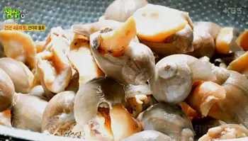 2tv 생생정보산더미물회 장사의 신 26