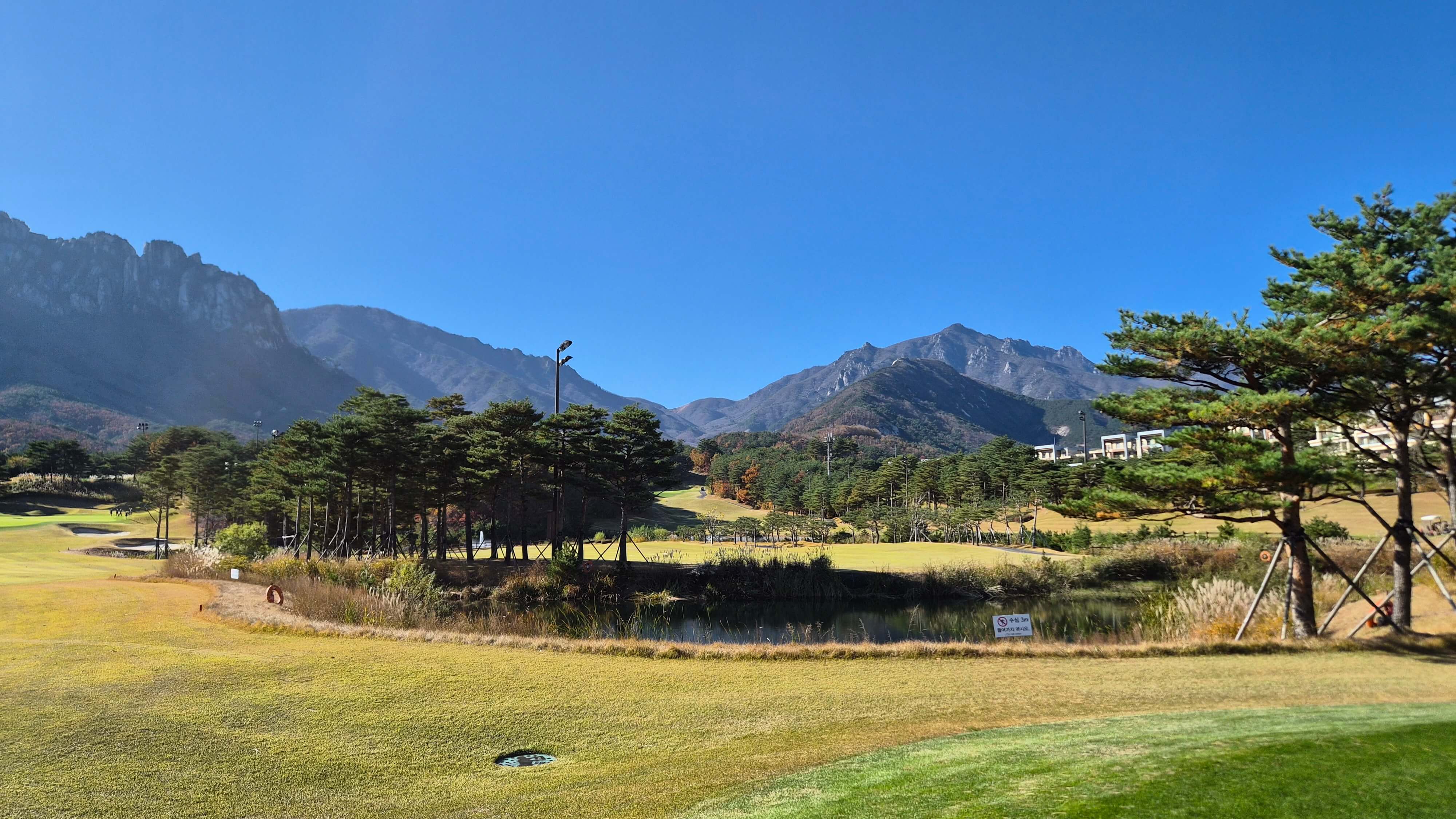 골프장 경험담 소노펠리체cc델피노 설악산 울산바위와 탁 뜨인 동해 바다 소나무가 멋진곳