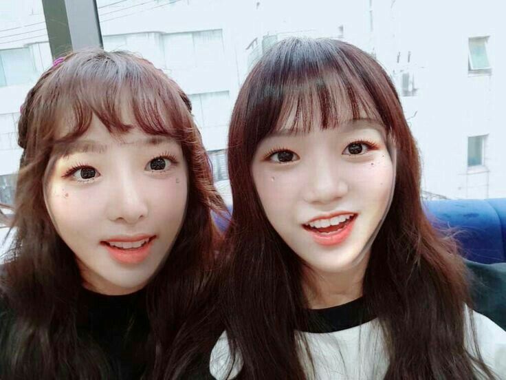 아이즈원 프로듀스48 사진 모음