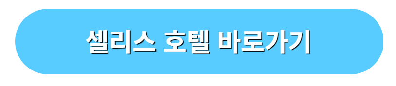 샐리스 호텔 바로가기