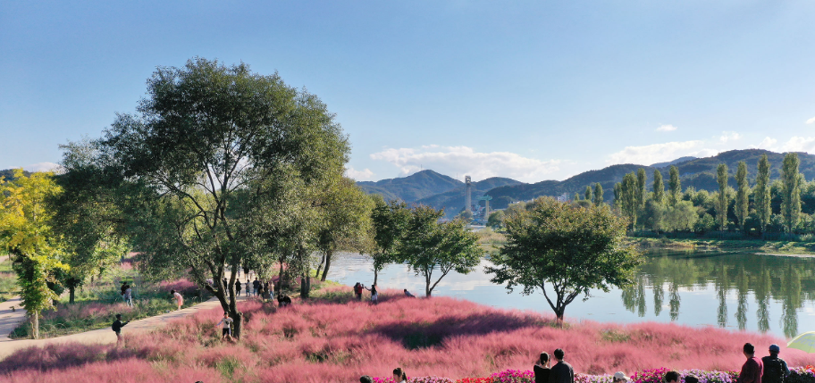 자라섬 꽃 : 가평군 자료