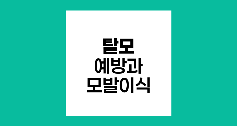 탈모 예방과 모발이식, 건강한 두피를 위한 종합 가이드