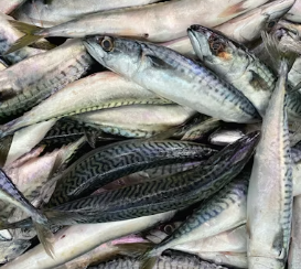 대상포진 후 신경통에 좋은 음식 영양제 식단