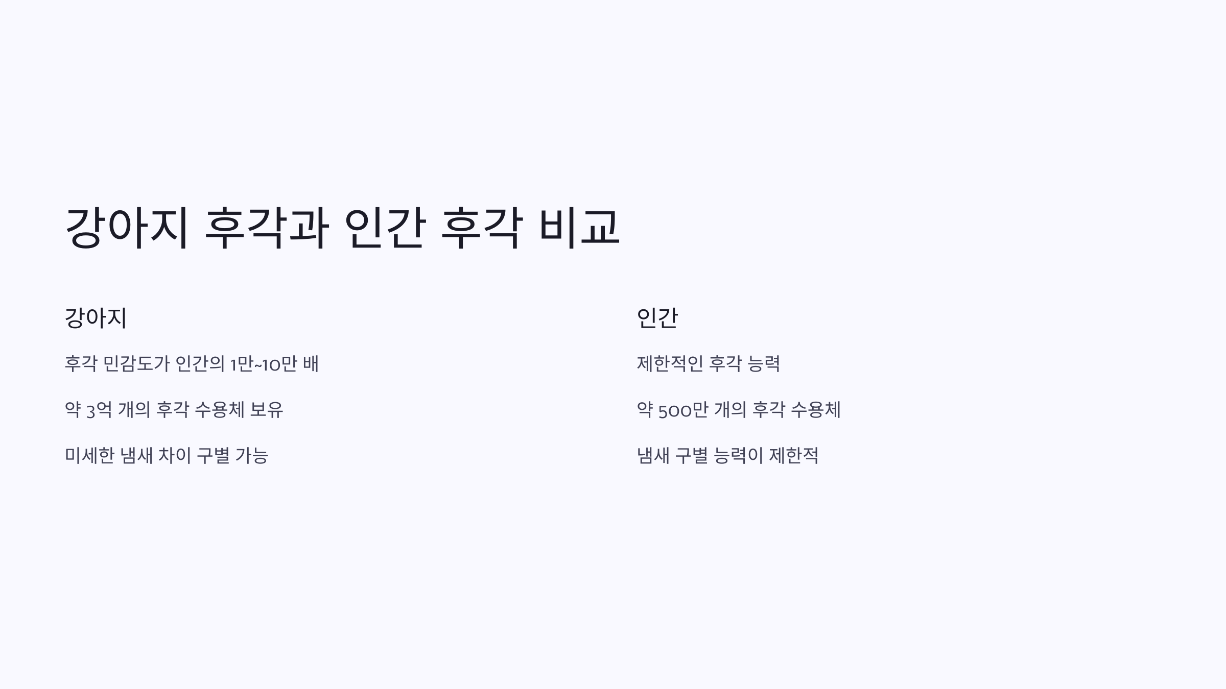 강아지 후각과 인간 후각 비교