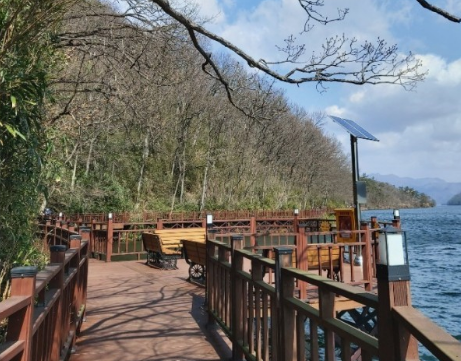 '100억송이' 가을꽃