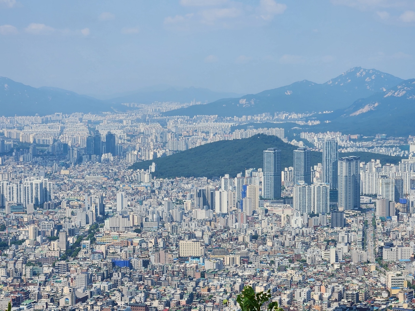 부동산 월세받기