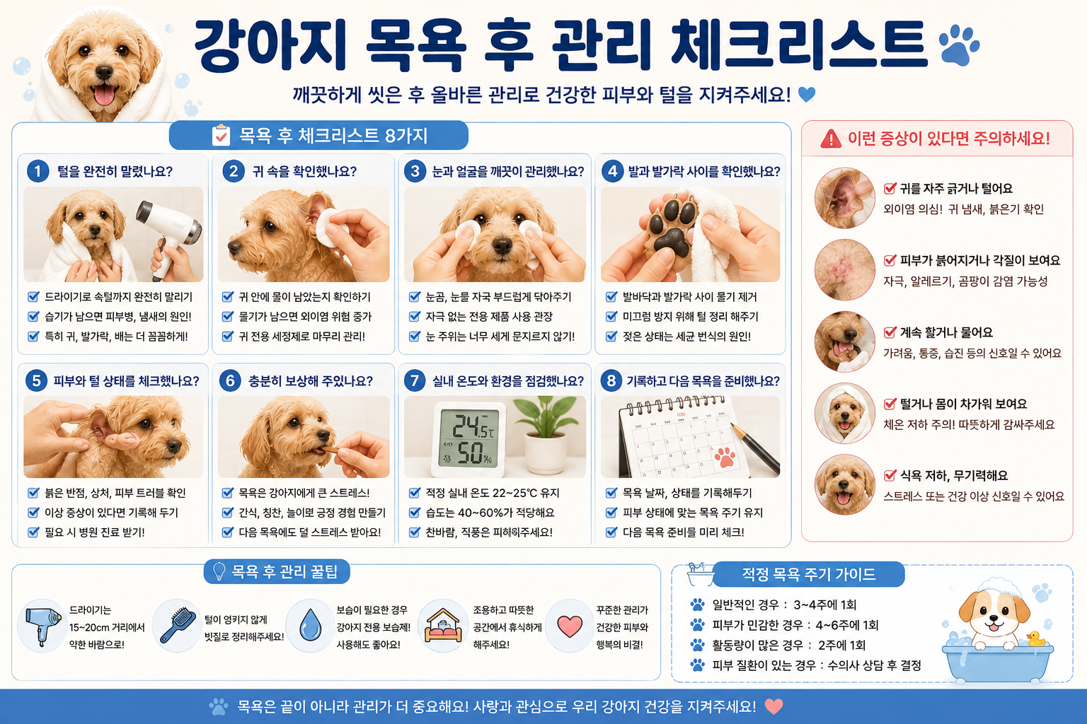 강아지 목욕 후 관리 체크리스트 이미지, 강아지 목욕 후 말리기, 강아지 귀 관리, 강아지 발 관리, 강아지 피부 관리, 강아지 외이염 예방, 강아지 빗질, 강아지 목욕 후 떨림, 강아지 목욕 후 관리 방법, 강아지 목욕 체크리스트