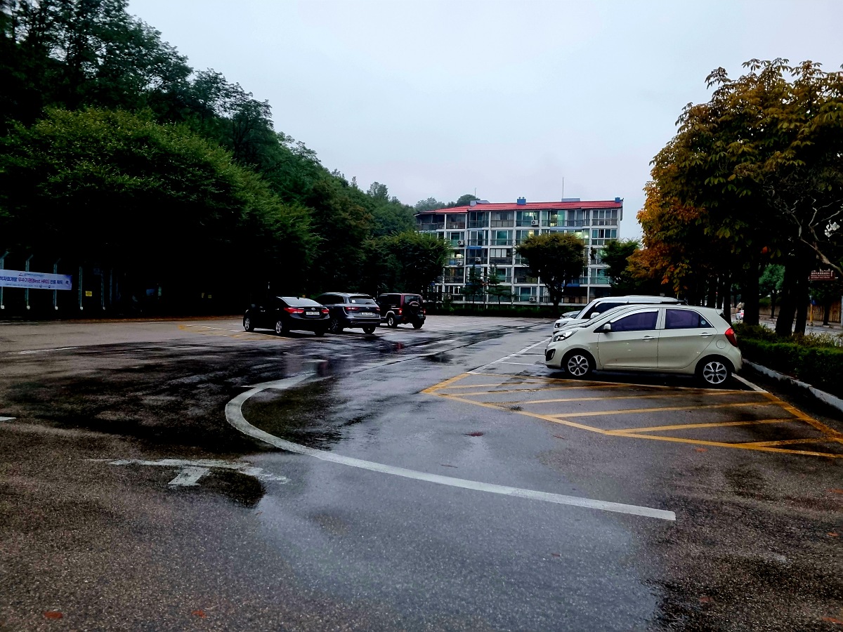 동해 가볼만한곳 천곡황금박쥐동굴 후기 비 오는 날 좋은 실내 여행지