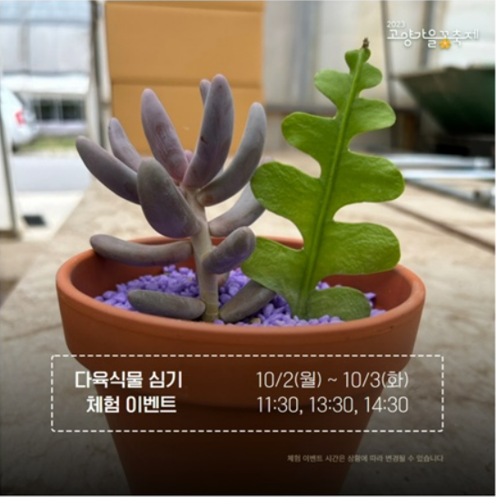 고양 가을꽃축제 체험프로그램