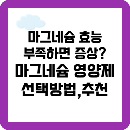 마그네슘 영양제 추천